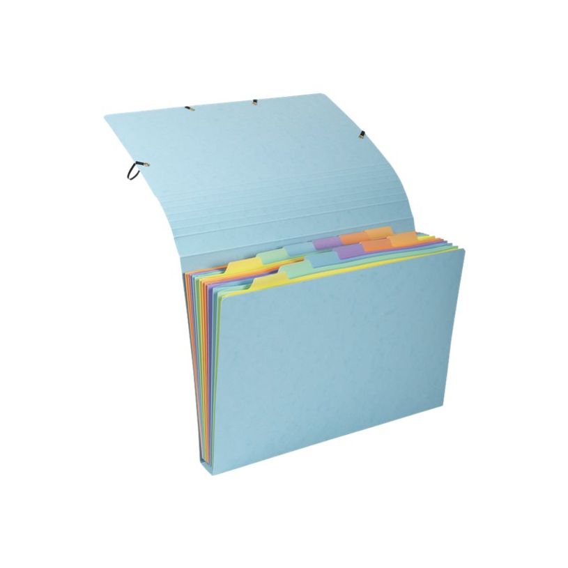 3130630585602-Exacompta Aquarel - Trieur 12 positions - disponible dans différentes couleurs-P_79445327_14-13