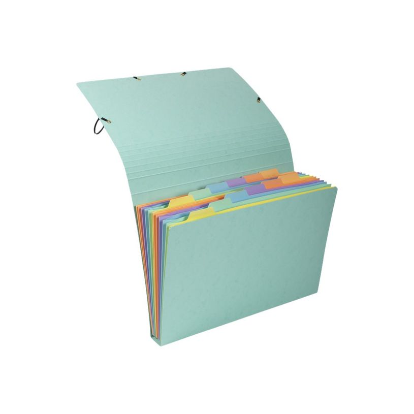 3130630585602-Exacompta Aquarel - Trieur 12 positions - disponible dans différentes couleurs-P_79445327_3-2