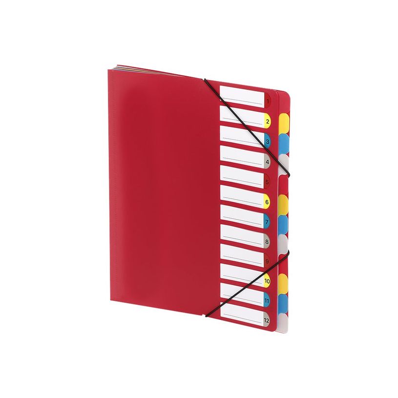 3135251988870-Viquel - Trieur à soufflets 12 positions - disponible dans différentes couleurs opaques-P_79445389_1-0