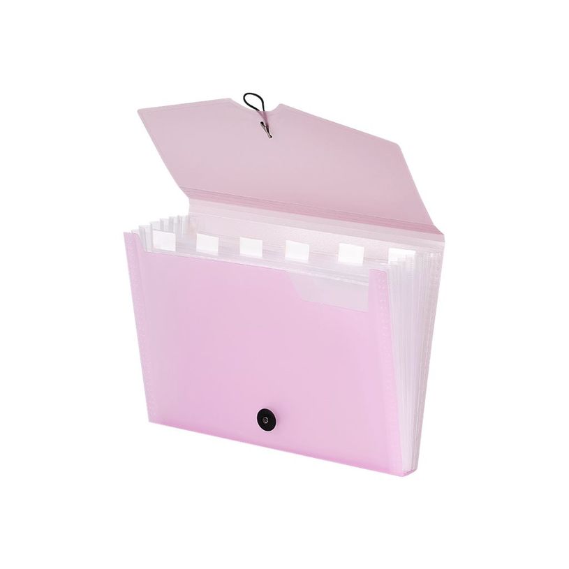 3135250968880-Viquel Propysoft - Trieur extensible 6 positions - disponible dans différentes couleurs-P_79445426_1-0