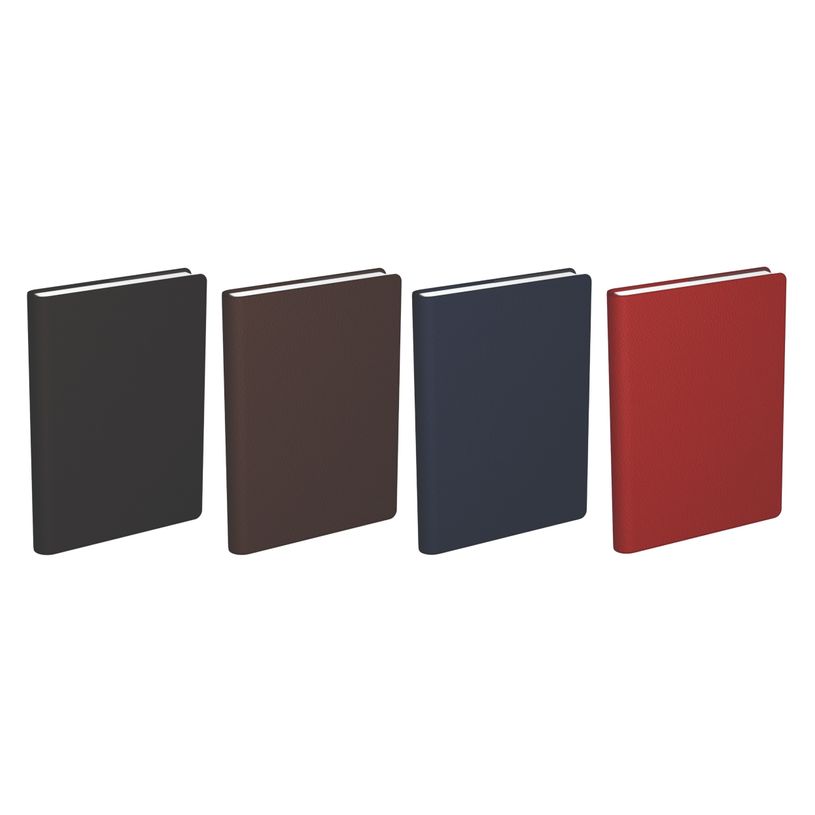 3147281941305-Agenda Scolaire Classique LECAS - 12x18 cm - 4 couleurs- Hamelin --0