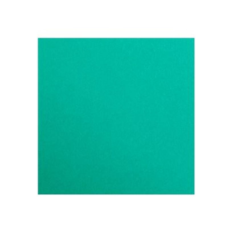 3329680972511-Clairefontaine Maya - Papier à dessin - 50 x 70 cm - 270 g/m² - vert foncé-P_972511_1-0