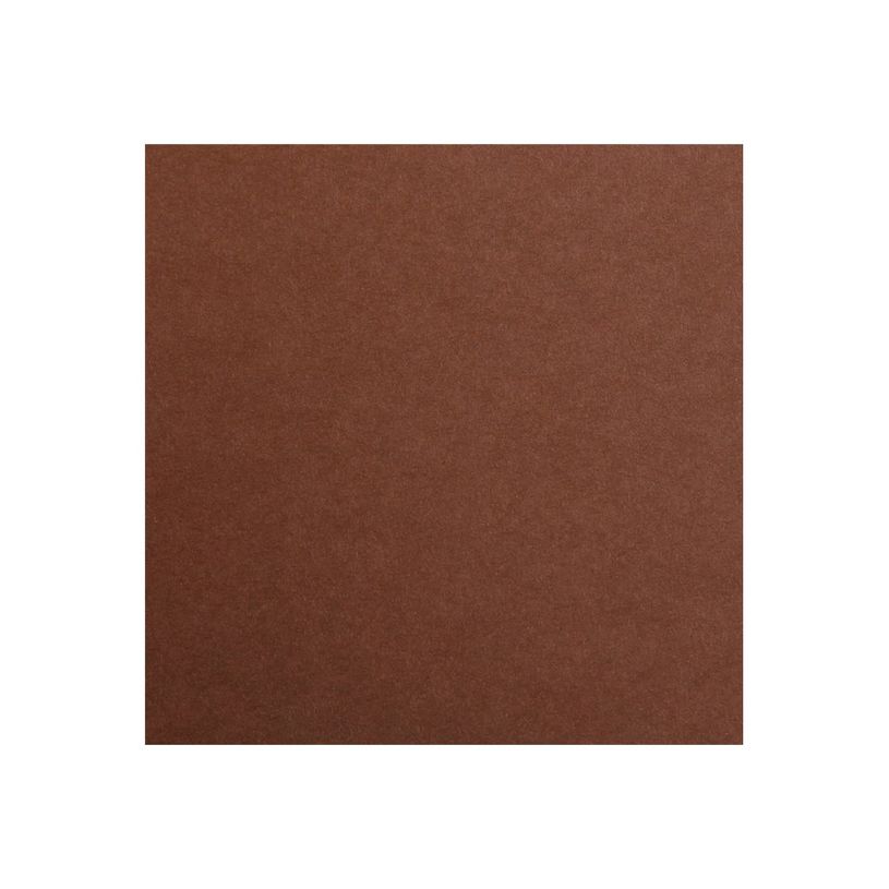 3329680972610-Clairefontaine Maya - Papier à dessin - 50 x 70 cm - 270 g/m² - marron foncé-P_972611_1-0