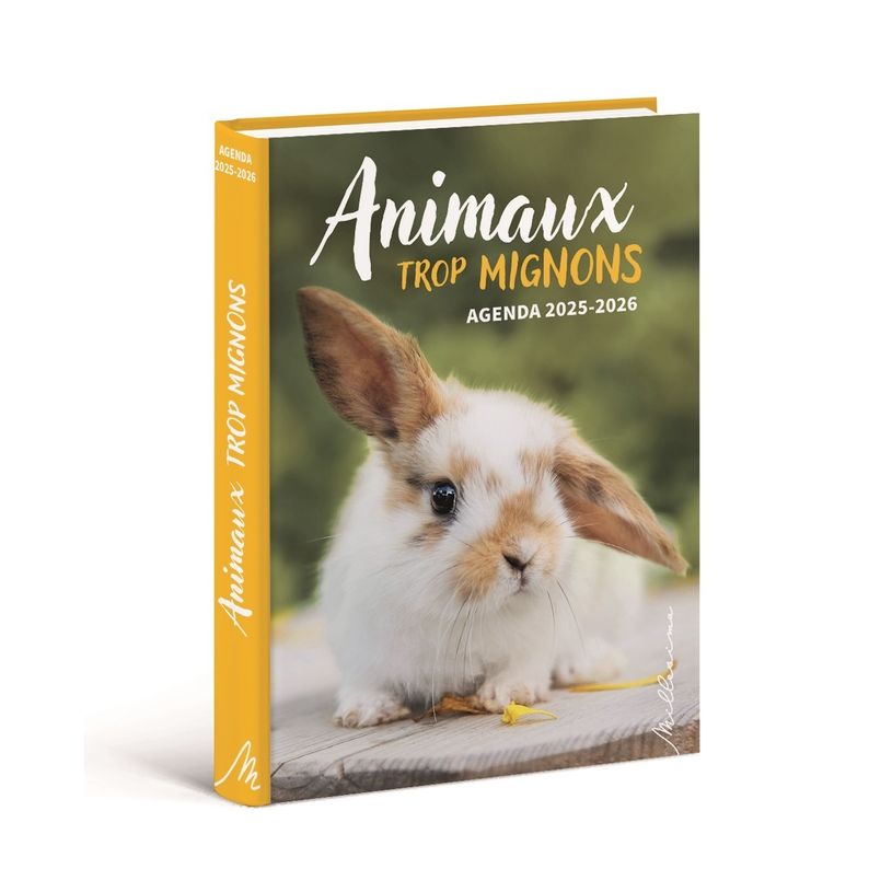9782385430757-Agenda Animaux trop mignons --0