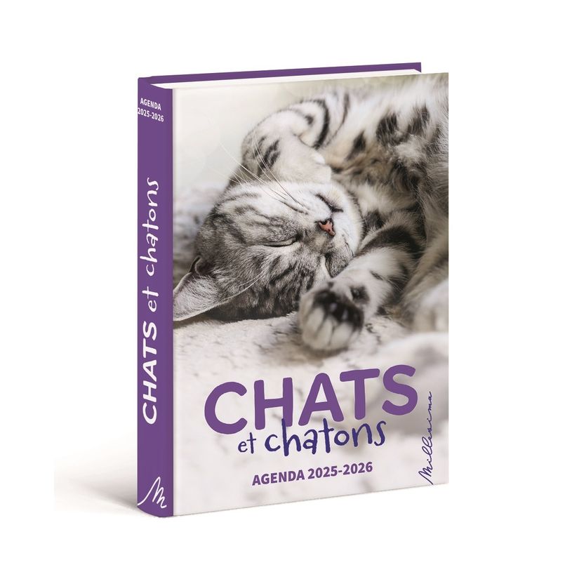 9782385430795-Agenda Chats et chatons --0