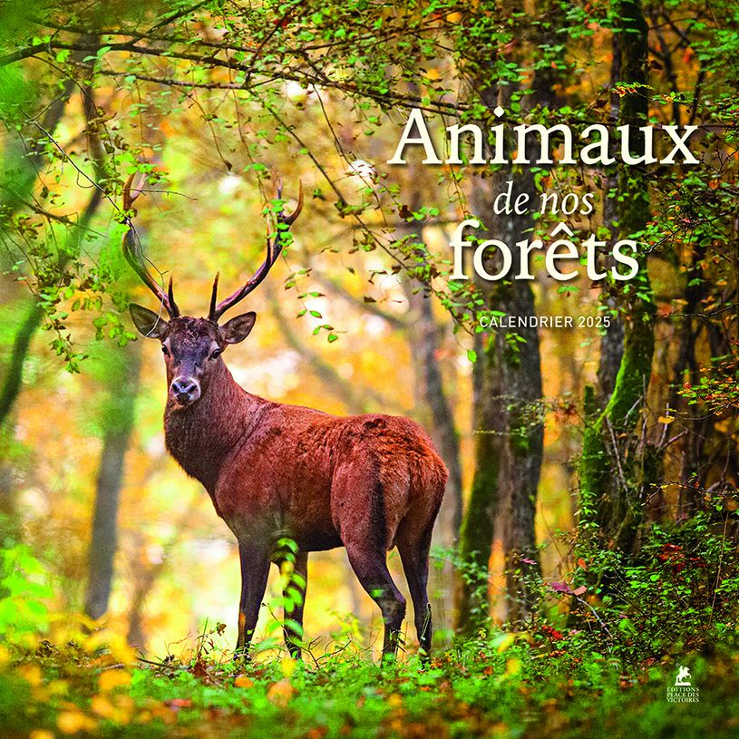 9782809920772-Animaux de nos forêts - Calendrier--0