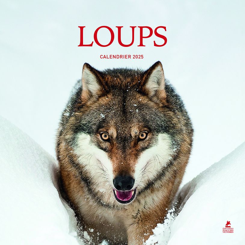 9782809920789-Loups - Calendrier--0