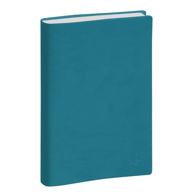 3660942002714-Agenda Winner La Journée Planifiée 21 - 1 jour par page - 13,5 x 21 cm - disponible dans différentes cou--0