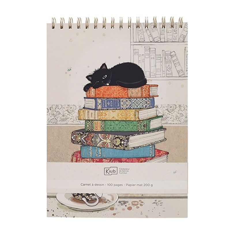 3700572791173-Kiub - Carnet a dessin gm bug art chaton livres--0