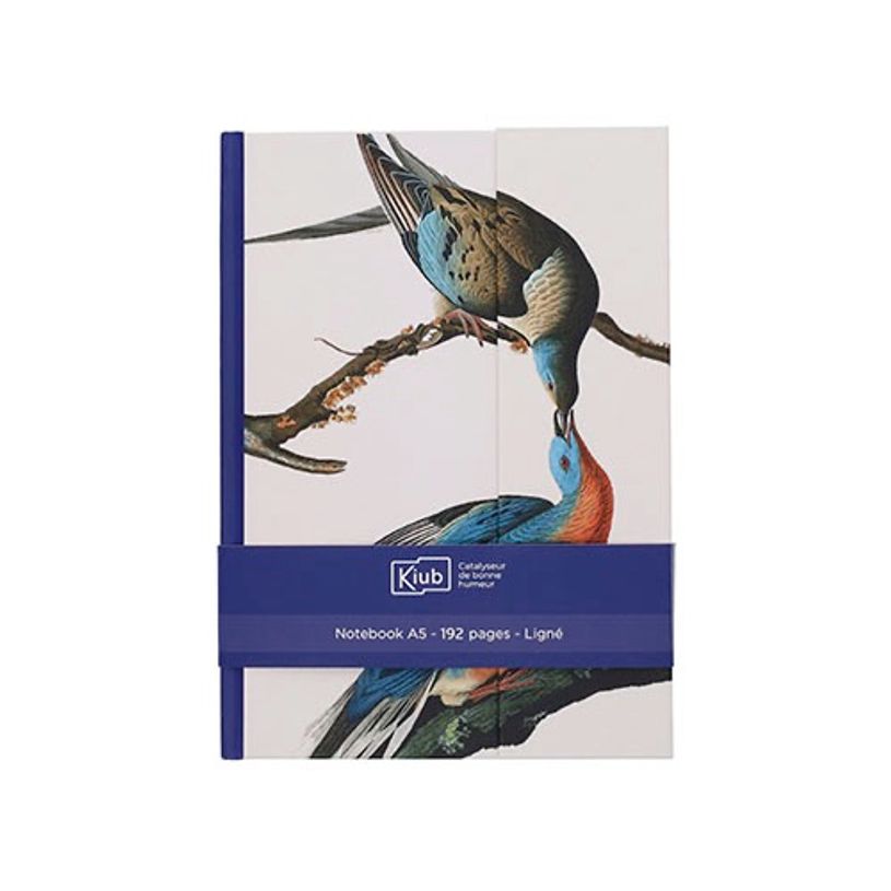 3700572809014-Kiub - Note book a5 oiseau bleu 29,7x21 - Collection encyclopedia par dyb--0