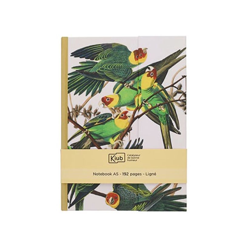 3700572809021-Kiub - Note book a5 oiseau jaune 29,7x21 - Collection encyclopedia par dyb--0