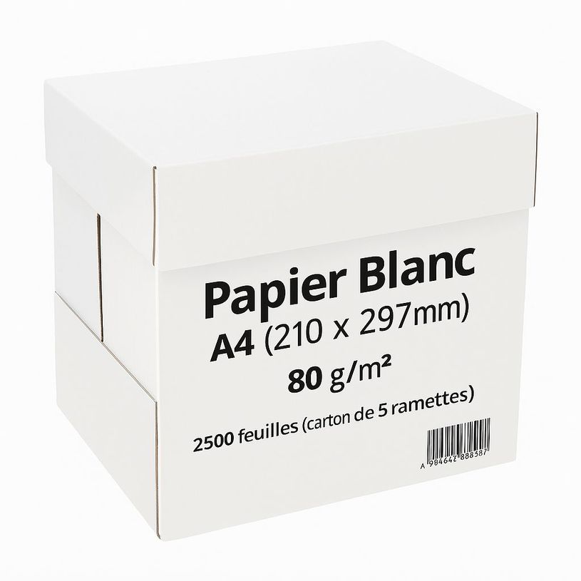 3141728704027-Papier blanc - A4 (210 x 297 mm) - 80 g/m² - 2500 feuilles (carton de 5 ramettes)--0