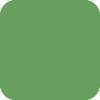 https://dxbyzx5id4chj.cloudfront.net/pub/media/catalog/attribute/product/couleur_ecriture/verde_musgo.jpg