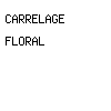 carrelage floral