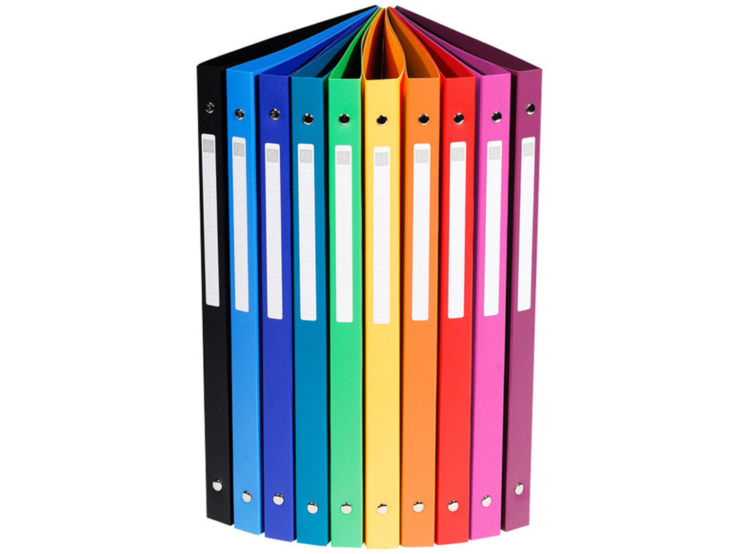 Tableau De Conférence Rillstab Format A4, Format Portrait, 20 Pochettes Transparentes, 40 Pages, Durable Et Portable, Idéal Pour Présentations, Réunions, Bureau, Formations, Noir