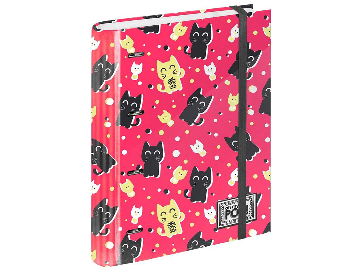 Classeur Chef De Groupe DCA Avec 10 Feuilles 5x10cm Incluses