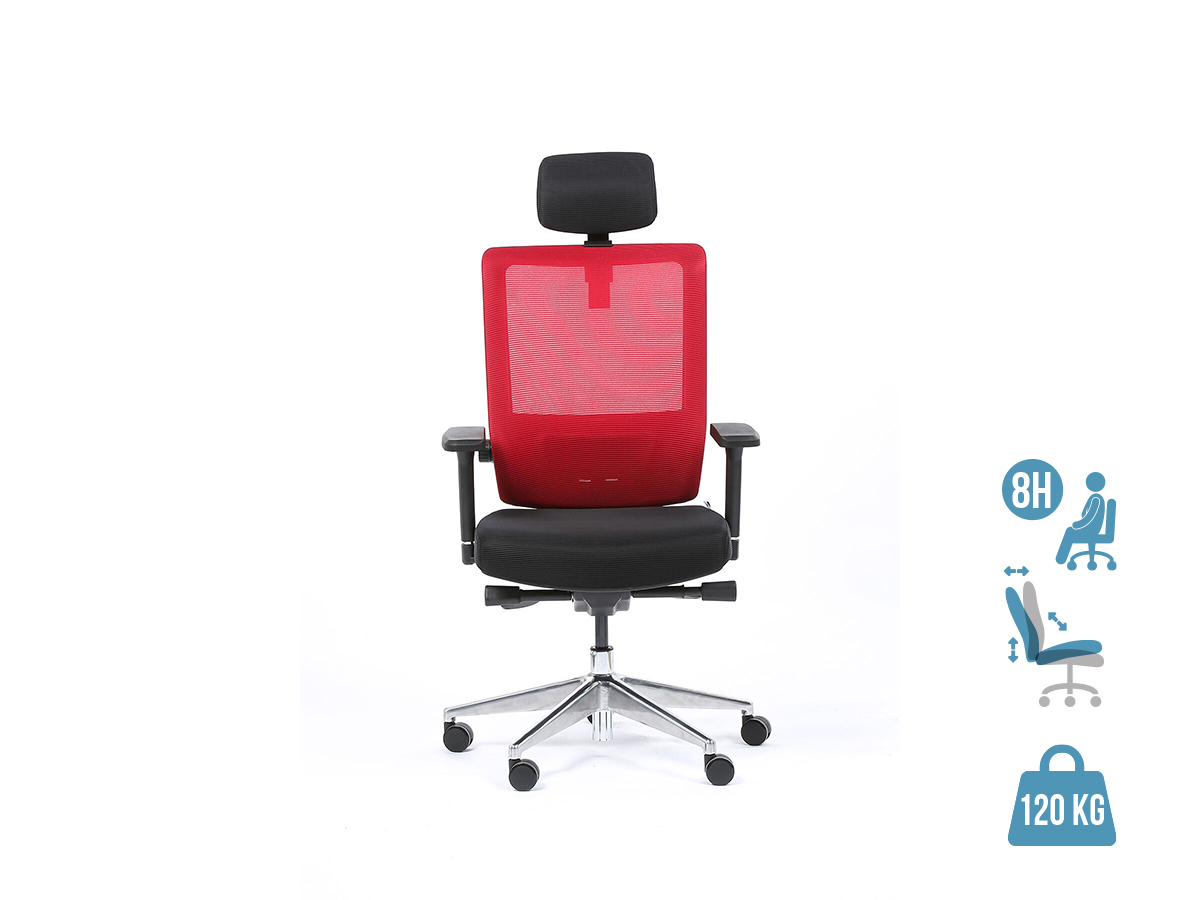 Chaise de bureau ergonomique : Noir/Rouge