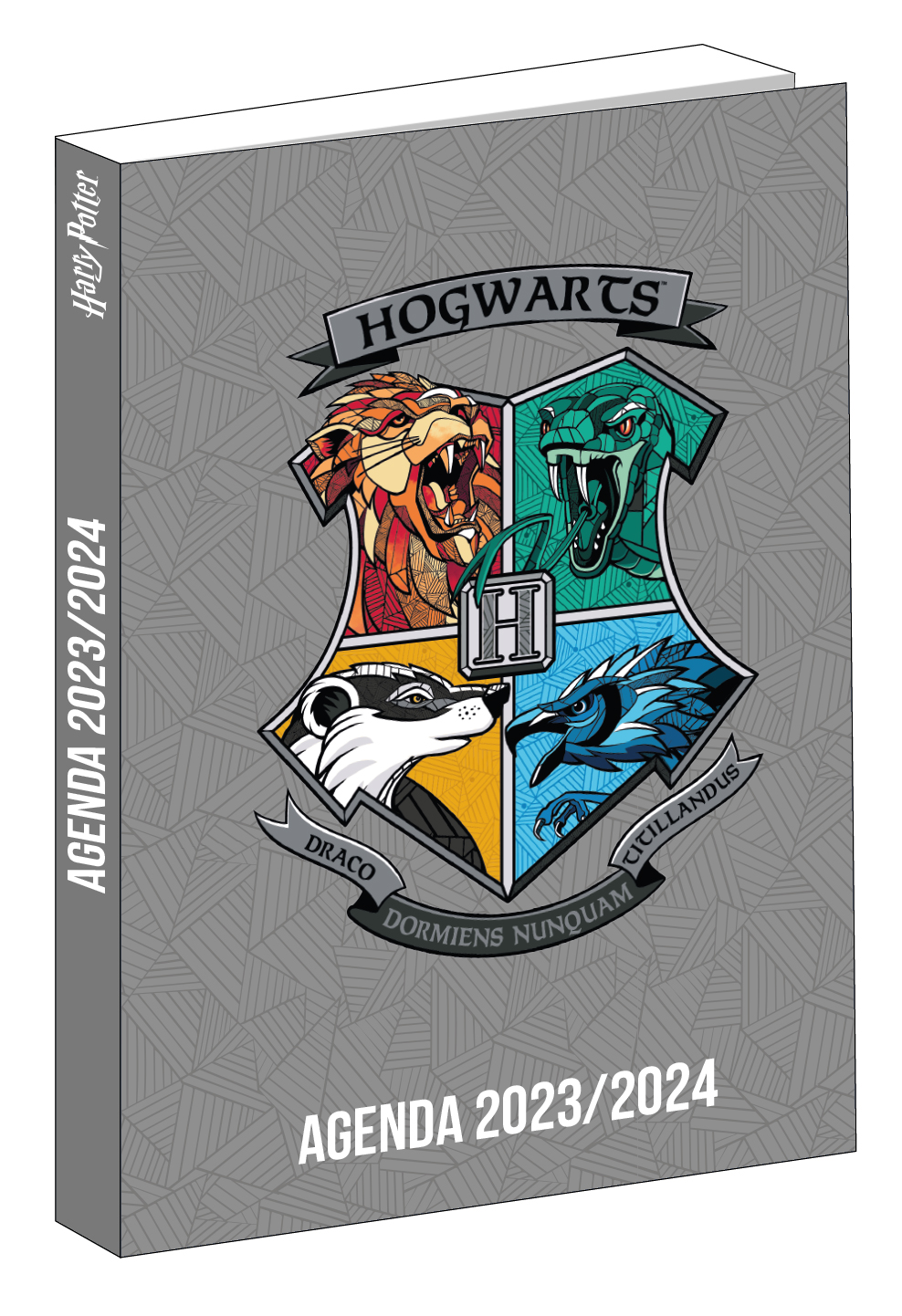 Agenda Harry Potter - 1 jour par page - 12 x 17 cm - gris