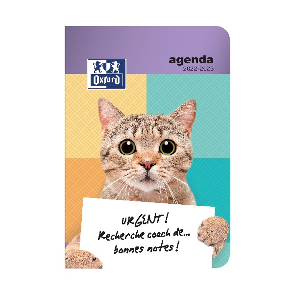 Agenda Funny Pets - 1 jour par page - 12 x 18 cm - chat urgent - Hamelin