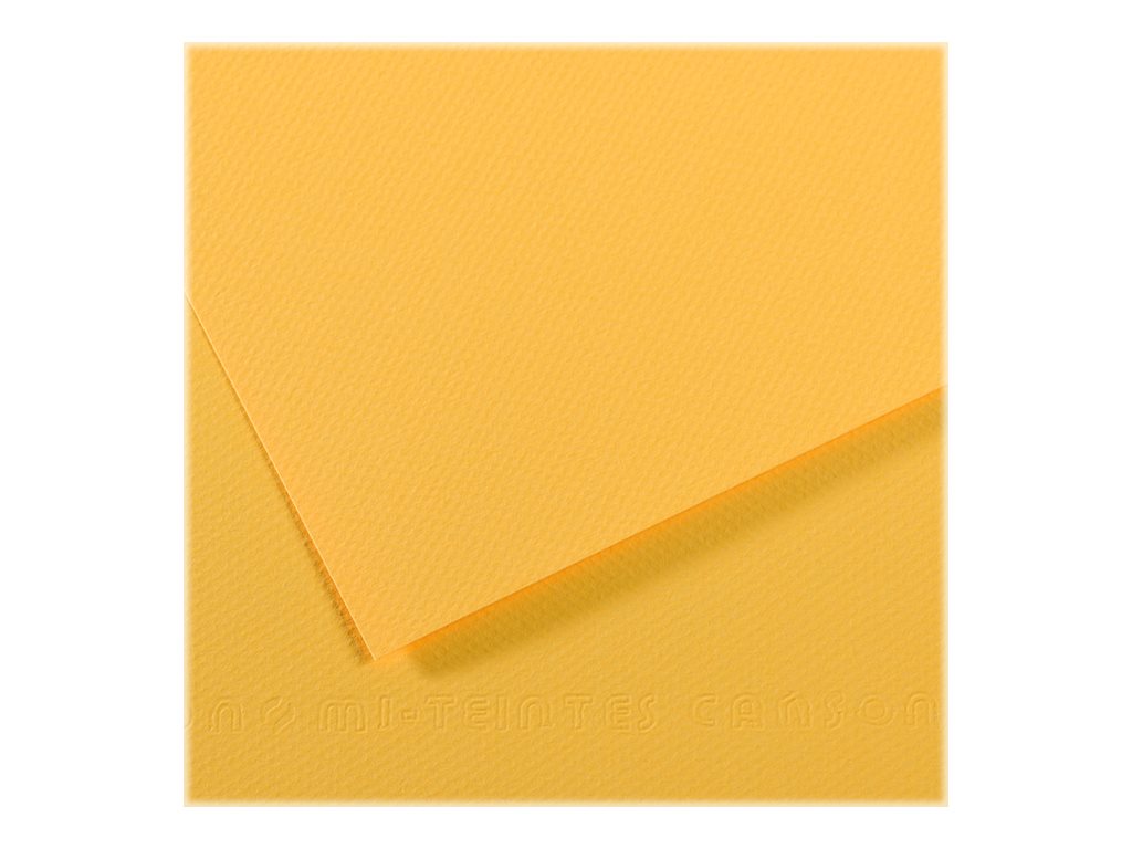 Canson Papier Mi-Teintes Nid-d'Abeille - 10 Feuilles 50x65 Cm 160g/m² Blanc 335
