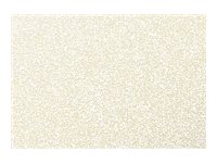 Boîte De 100 Cartes De Visite Bristol Clairefontaine 82x128mm 220g/m² - Blanc Uni