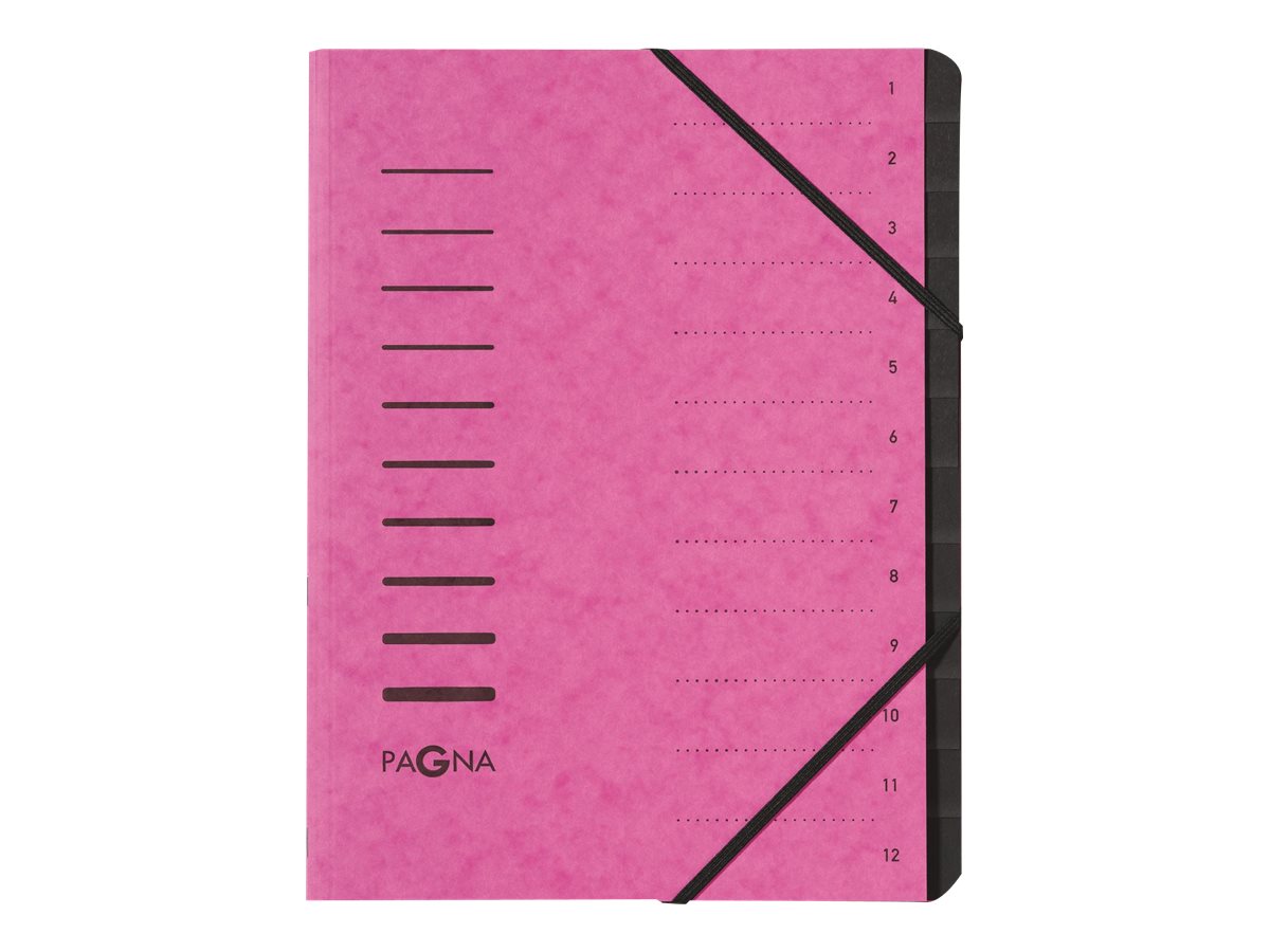 Pagna 24131-03 Trieur A4 Easy en carton avec 12 onglets colorés (Vert