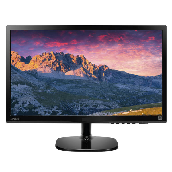 Écran PC 20 Pouces Reconditionné - Résolution HD 720p, Ports VGA Et DVI, Pivot, Idéal Bureau Ou Affichage - 11