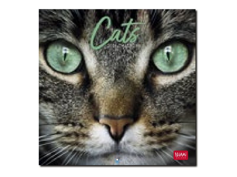 Calendrier bureau chats, mensuel 2024, boutique objets chat | Tribu de chats