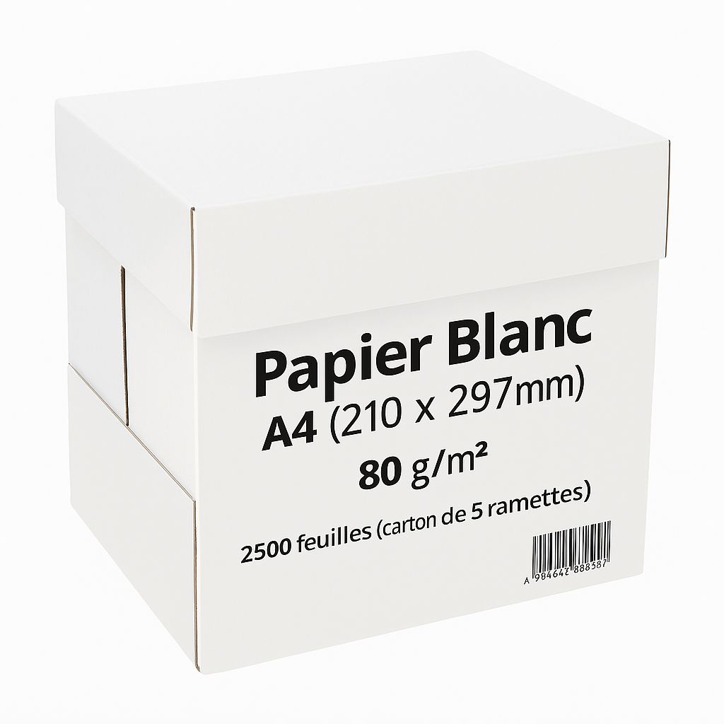10 Ramettes Papier Double A A4 80g - Blanc Premium Pour Impression Pro - Lot économie