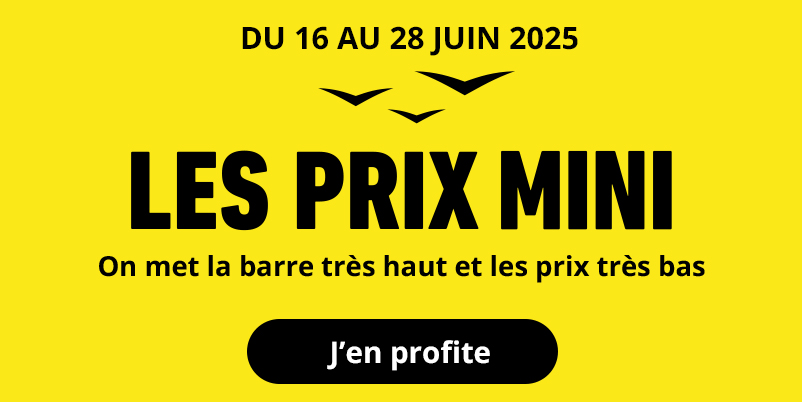Les prix mini