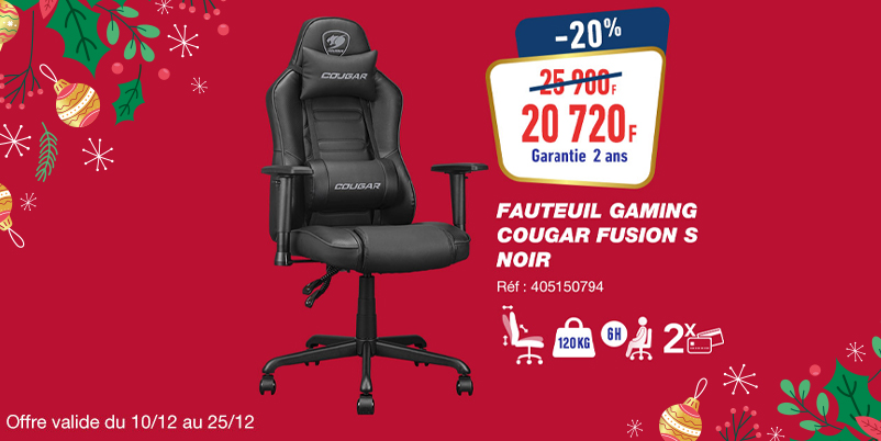 Fauteuil Cougar