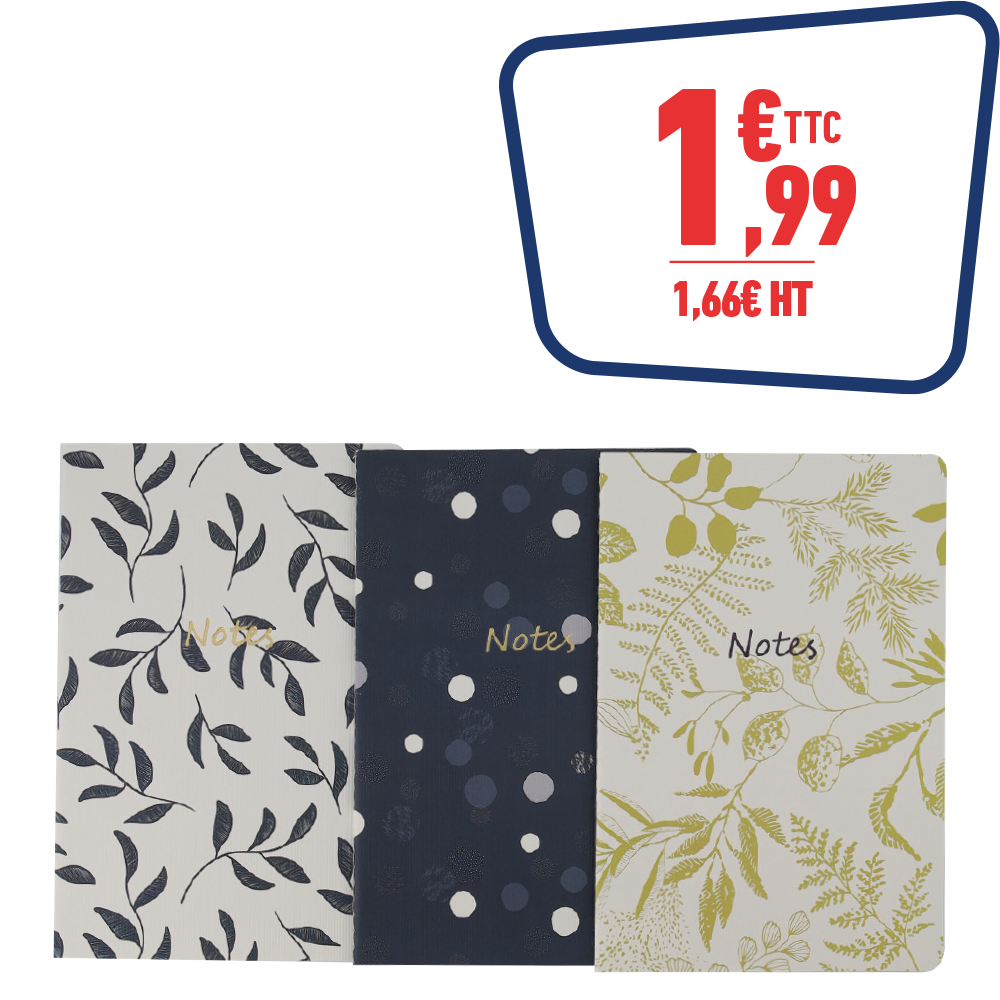 Lot de 3 carnets souples
