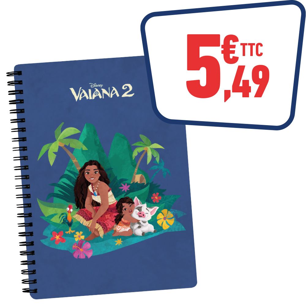 Cahier de texte Vaiana