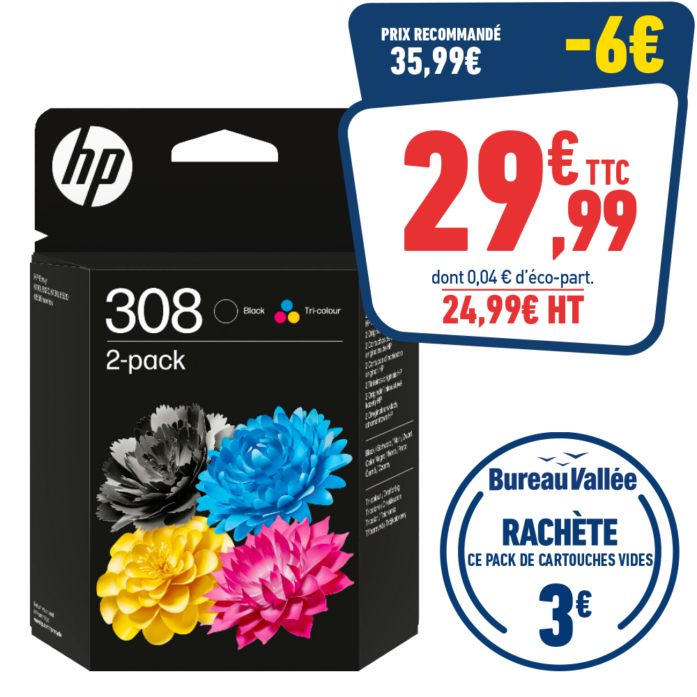 PACK DE 2 CARTOUCHES HP 308