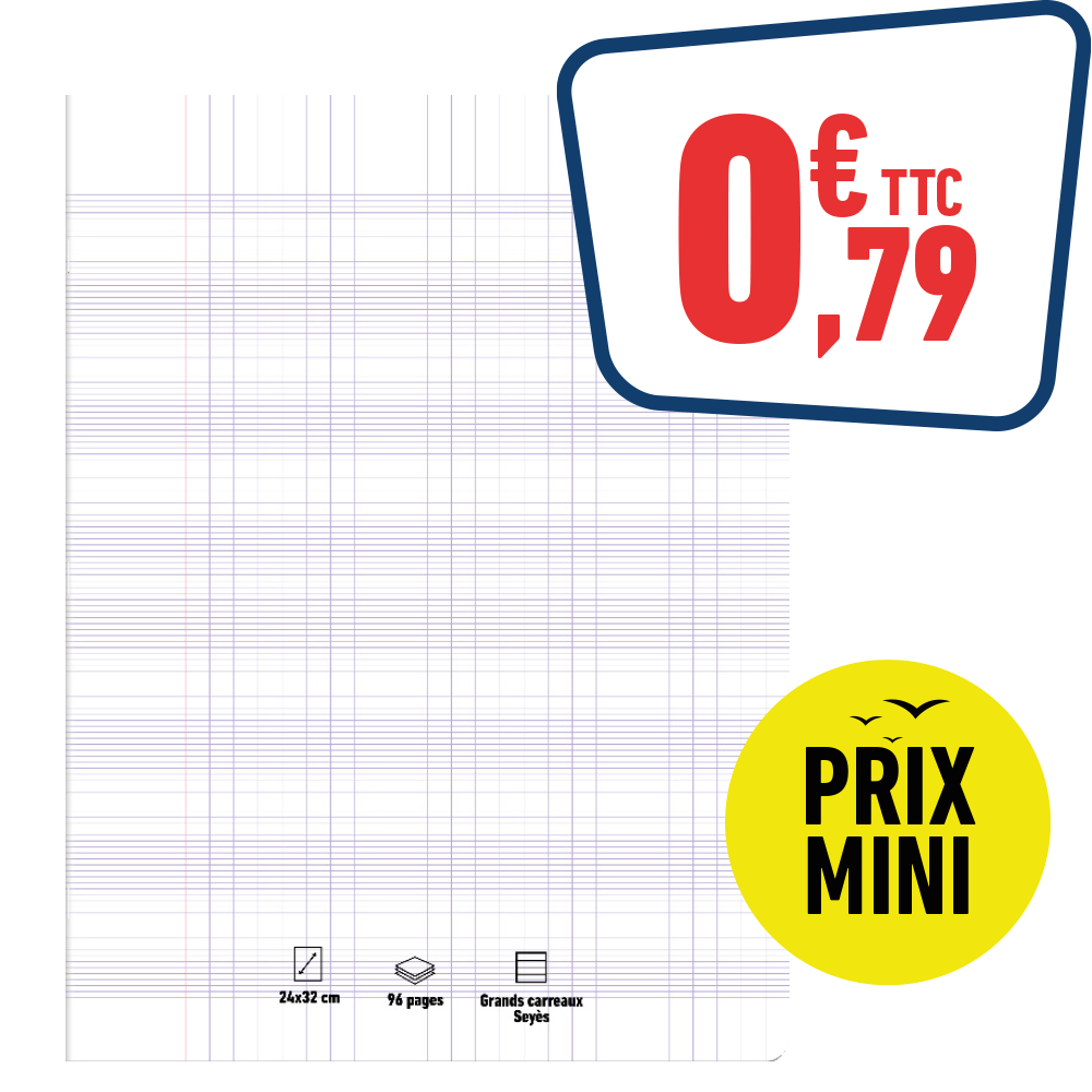 CAHIER 24 X 32 CM 96 PAGES - 70 GR