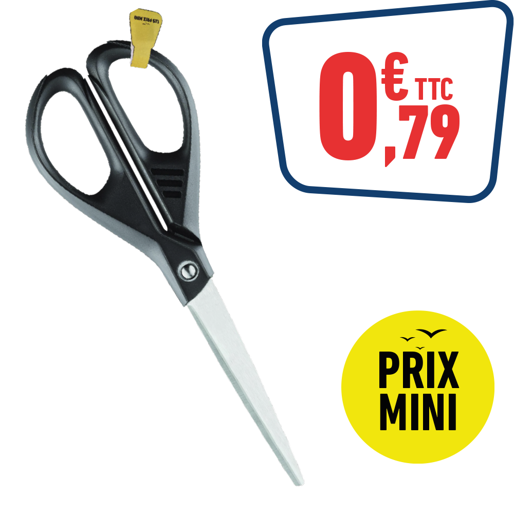 CISEAUX 17 CM