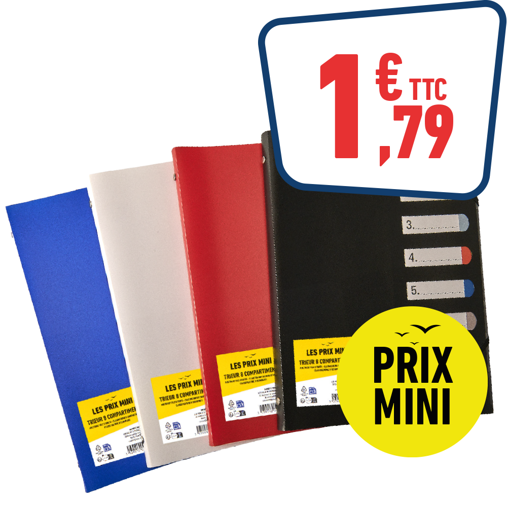 TRIEUR A4 8 COMPARTIMENTS