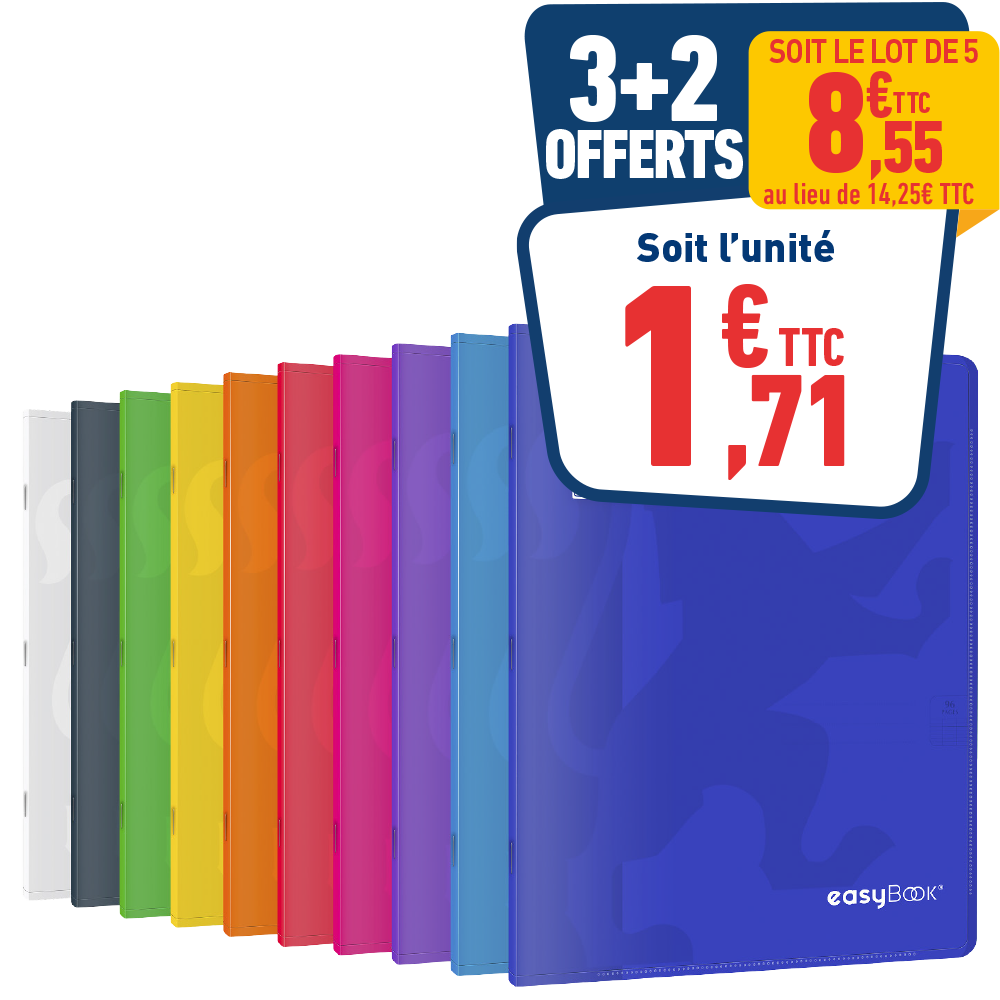 CAHIER 24 X 32 CM «EASYBOOK» GRANDS CARREAUX - 96P