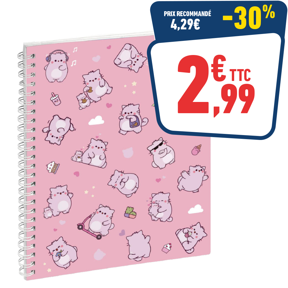 CAHIER DE TEXTE PEMBE 17 X 22 CM