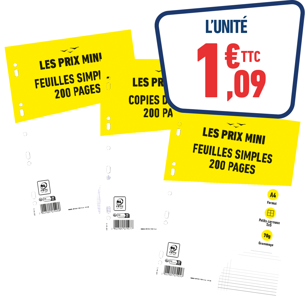 200 COPIES DOUBLES GRANDS CARREAUX