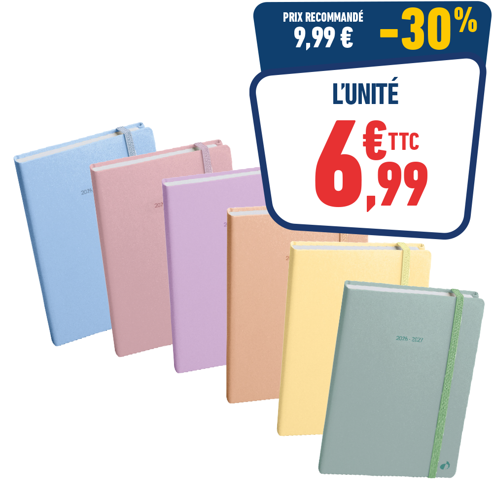 AGENDA PASTEL