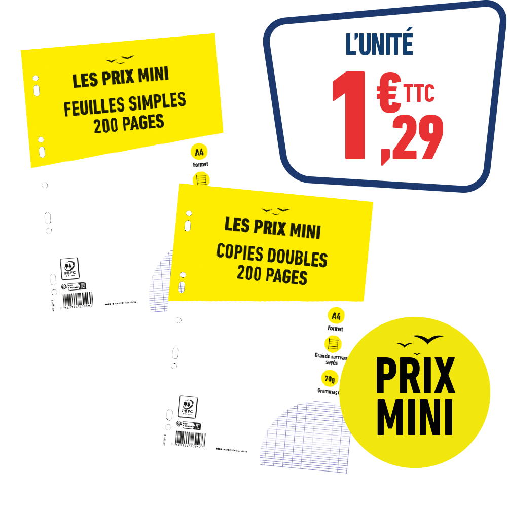 COPIES DOUBLES OU FEUILLES SIMPLES 200 PAGES