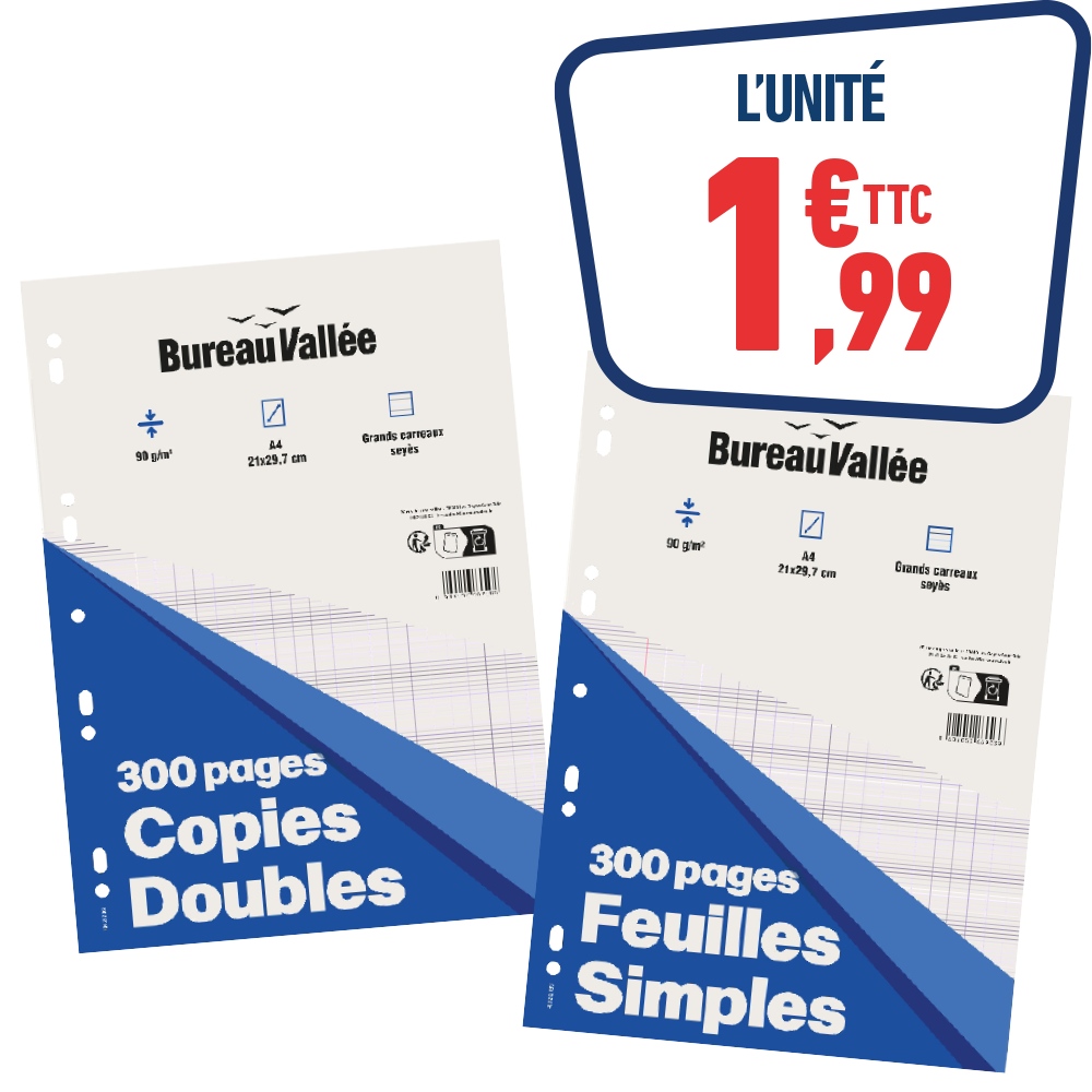 COPIES DOUBLES OU FEUILLES SIMPLES 300 PAGES
