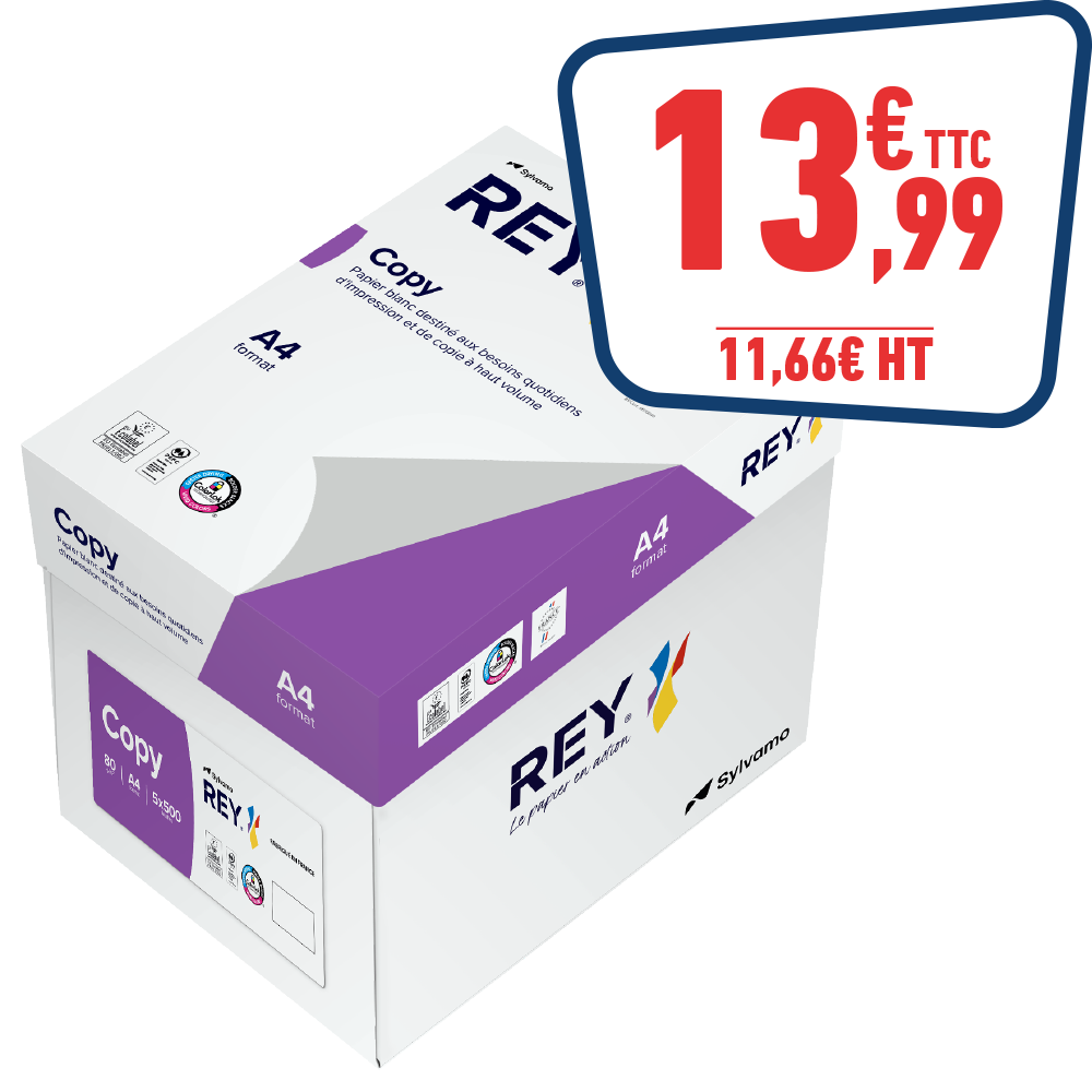 CARTON DE 5 RAMMETTES DE 500 FEUILLES PAPIER BLANC - A4 - 80GR