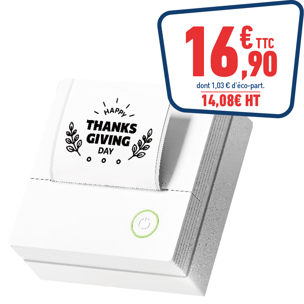 MINI IMPRIMANTE THERMIQUE PM290